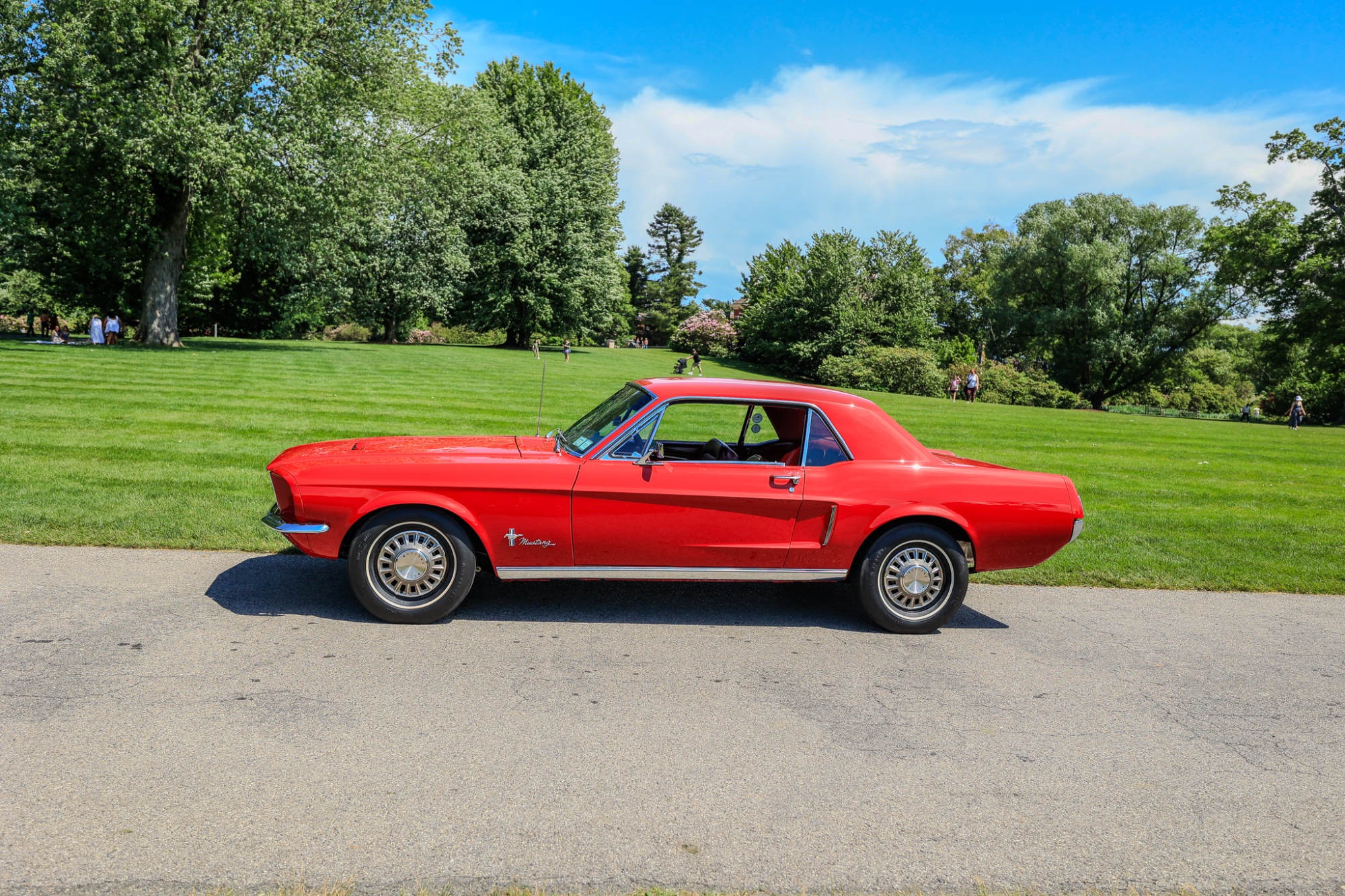 Jeff Pearce's Photos from Westbury